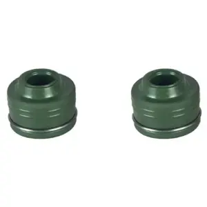 Valve Oil Seal-bajaj Pulsar Dtsi
