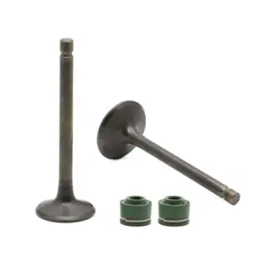 Valve Set-tvs Scooty Pep