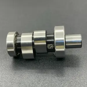 Camshaft Assy-bajaj Platina 125