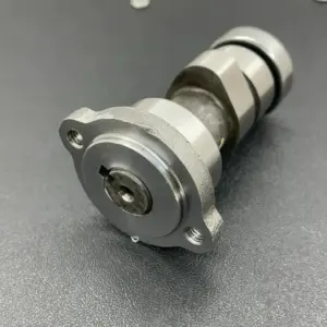 Camshaft Assy-lml Freedom