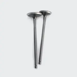 Valve Set Pulsar 150 Dtsi/discover 135/discover 125