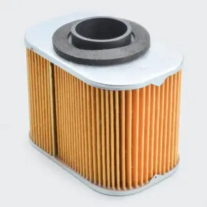 Air Filter-tvs Star City Plus/phoenix