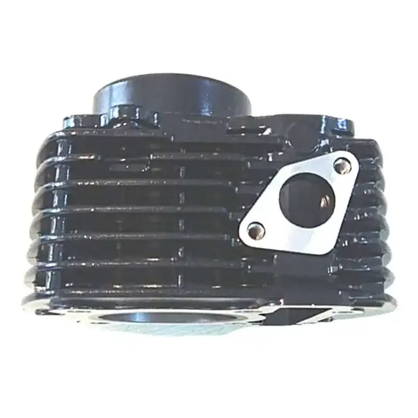 Cylinder Kit/borkit- Crux/ybx/ybr 110