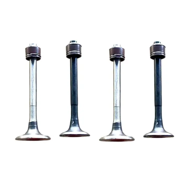 Valve Set-bajaj Discover 100 T