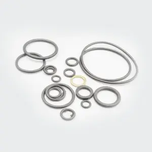 O Ring Kit Hh