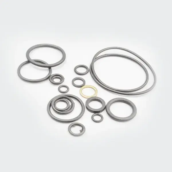 O Ring Kit Hh