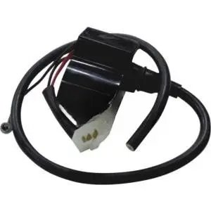 Cdi Unit(icdi-tvsc-tv67)-tvs Scooty
