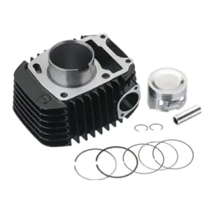 Cylinder Kit/borkit- Honda Cb Unicorn 160