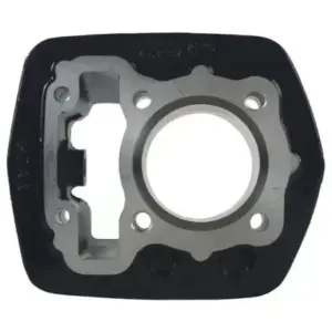 Hero Genuine Cylinder Comp-12100kzaw00s Passion_x_pro