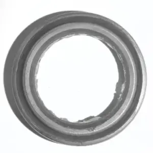 Oil Seal 1257290 Tvs Max100r 100 (oem),