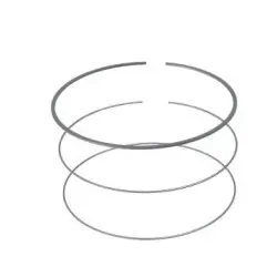 Piston Ring Ring Set Piston Std. Passion Pro 110/passion X-pro Latest/ Splendor I-smart 110