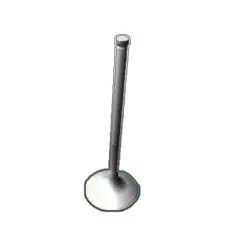 Valve Kit Valve Inlet Valve Kit - Ignitior