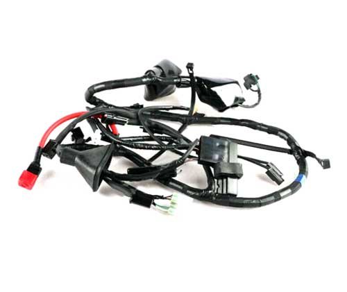 147953 Std Wiring Harness