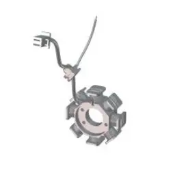Magnet Coil Assy Stator Comp Passion X-pro 2012 (old Models)