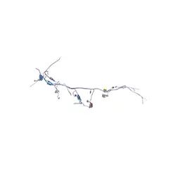 Wiring Comp Harness Wire X-treme 200 S