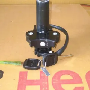 Switch Assembly, Combination And Lock (passion Pro)