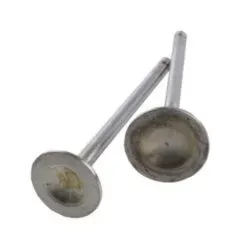 Valve Kit For Royal Enfeild Thunderbird 350 Abs, Bullet 350 Es,classic 350 Abs Bs3,bs4,bs6