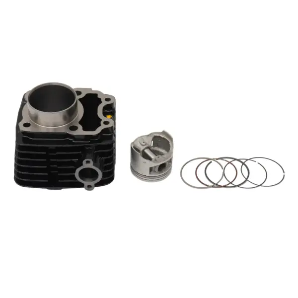 Bajaj Cylinder Kit For Discover 150 (2010-13) Genuine - Image 3