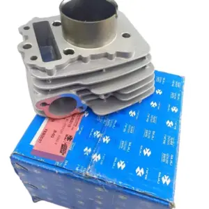 52je0016 Cylinder Block| Bajaj Pulsar 135ls (2009-2016) Genune