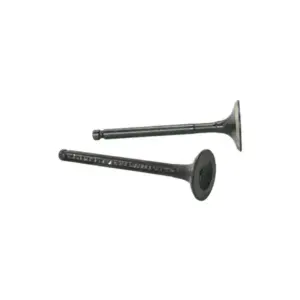 Valve Set For Pep/xl 100