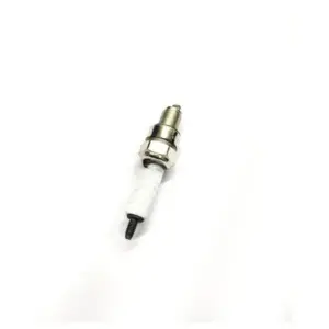Plug For Fiero/pulsar(cr9e)