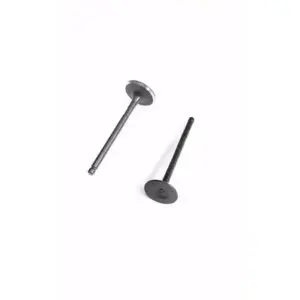 Valve Set For Fz