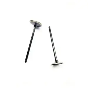 Valve Set For Pulsar180