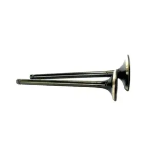 Valve Set For Activa Bs6