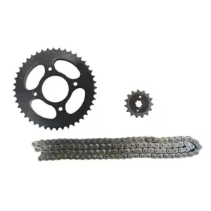 Chain Kit For Passion Pro 44b+108t+14t