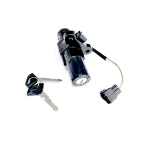 Lock Ignition For Discover 2 Wire