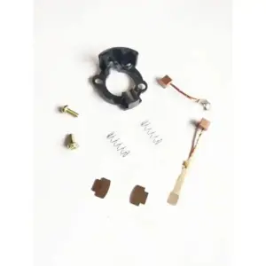 Carbon Brush Kit For Passion Pro Bs6