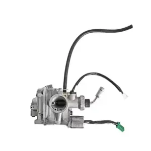 Carb Assy For Discover/xcd