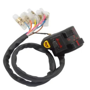 Combination Switch For Hero Passion+ (lh)