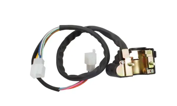 Combination Switch For Hero Cd Dawn (lh) - Image 2