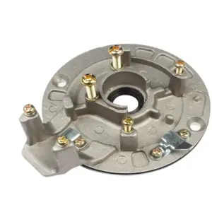 Coil Plate For Hero Splendor N/m (with Screw) Two Hole Fitting