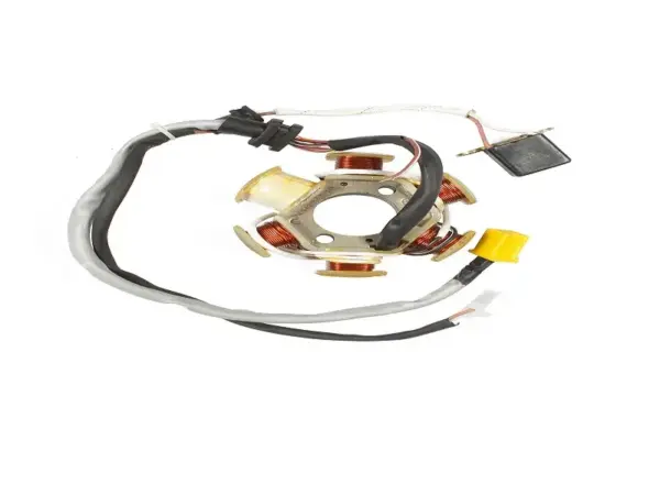 Stator / Coil Plate Assembly For Tvs Sport Ks - Image 2