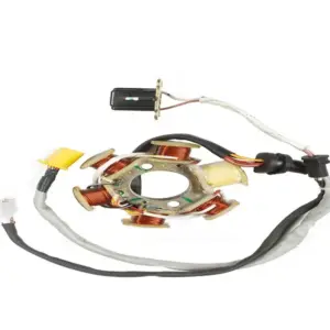 Stator / Coil Plate Assembly For Tvs Sport Ks