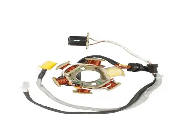 Stator / Coil Plate Assembly For Tvs Sport Ks