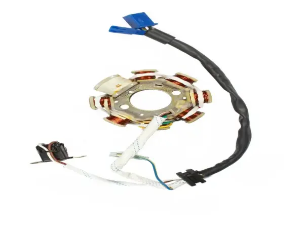Stator / Coil Plate Assembly For Tvs Sport Es - Image 2