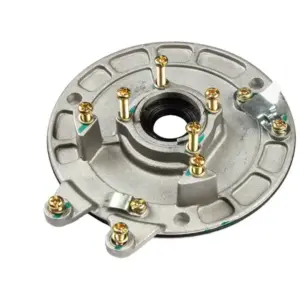 Coil Plate For Bajaj Kb-4s N/m (with Screw)