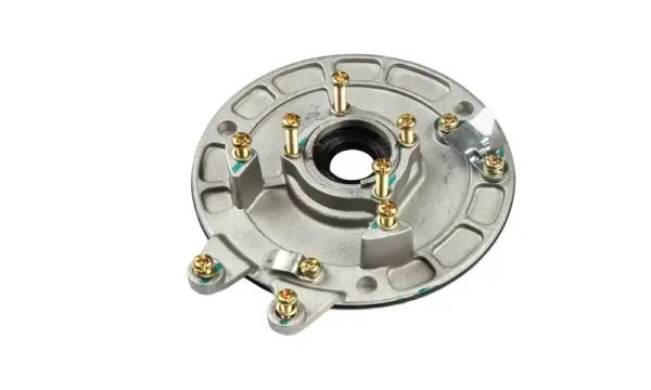 Coil Plate For Bajaj Kb-4s N/m (with Screw)