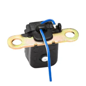 Pick-up Coil For Lml Energy