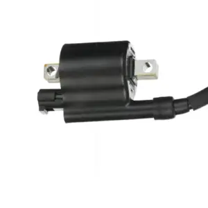 Ignition Coil-lh Side Bajaj Dominar 250