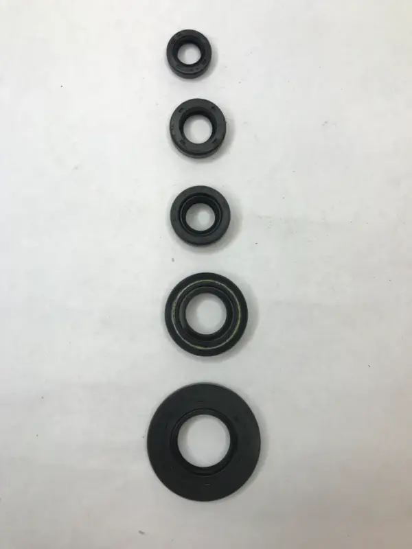 Oil Seal Kit For Tvs Apache Rtr 160 180 2v Models Set Of 5 Seals - Image 3