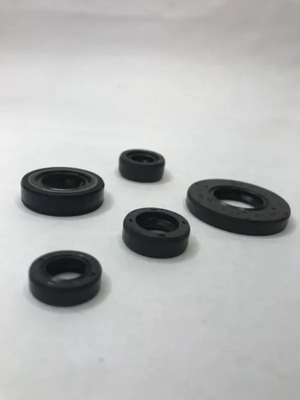 Oil Seal Kit For Tvs Apache Rtr 160 180 2v Models Set Of 5 Seals - Image 2
