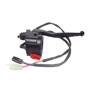 Handle Bar Switch Assembly Rh    Brake Side Xl 100cc Bs-4 (es) With Lever