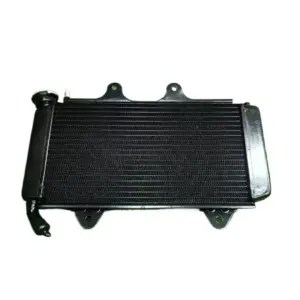 Ktm Rc 200 390 V1 Radiator Core Jy601246