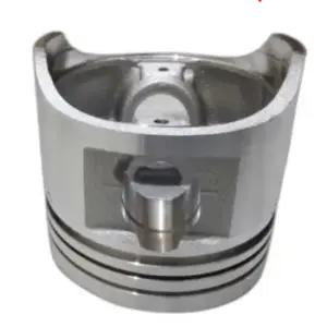 Piston Assembly Na020100 Tvs City + 110 (oem),