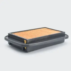 Air Filter [paper] R15