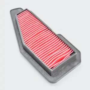 Air Filter [paper] Ray/fascino